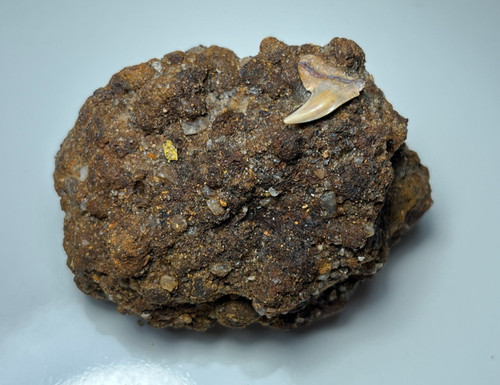 Matrix piece contortus - piece,