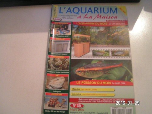 Aquarium à la - l'aquarium, maison