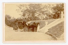 PHOTO carte CABINET photographie, la voiture de Mr Broune Arcachon cocher cheval