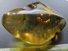 AMBRE avec GOUTTES D'EAU