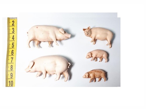 Porcs animaux bergers 10 - x,