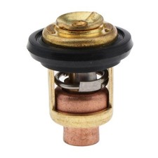 1x Thermostat 60 ℃ pour