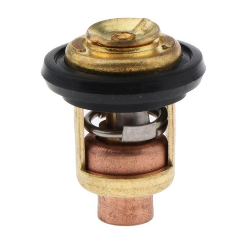 Thermostat pour - 1x, ℃