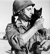 Dien Bien Phu Indo Bigeard BPC