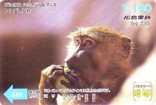 Carte JAPON SERIE MOIS 9/12 - ANIMAL - SINGE OUISTITI - MONKEY APE JAPAN card