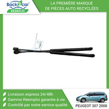 ? VERIN HAYON G PEUGEOT 307 SW Phase 2 2005-2008 ➤8731F8 ?