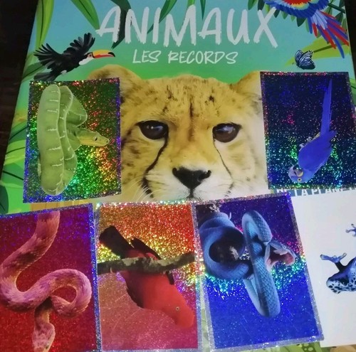 Panini x70 stickers animaux - panini,
