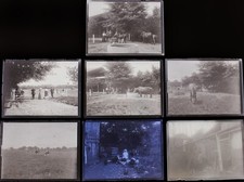 7 PHOTOS PLAQUES SUR VERRE 14 ABLON FERME VACHES CHEVAUX 12X9 NEGATIF 1920