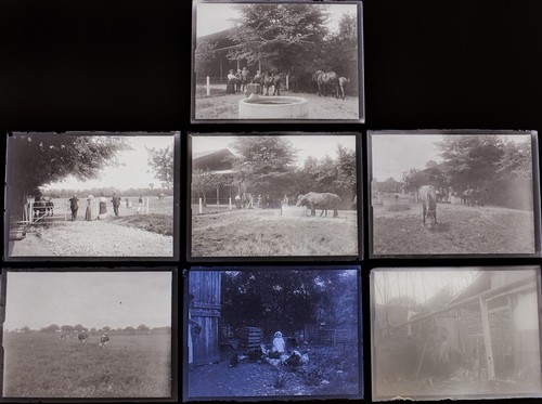 Photos plaques sur verre - 7,