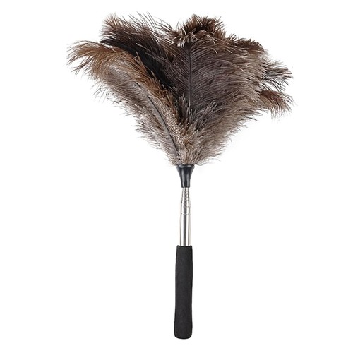 Plumeau extensible plumes - en,