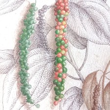 Vincent Jeannerot 1961