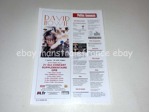 David bowie reality - david, concert