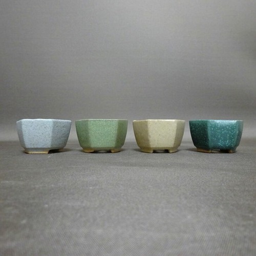 Miju mini bonsai pot set - miju,