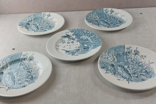 Lot anciennes assiettes - lot,
