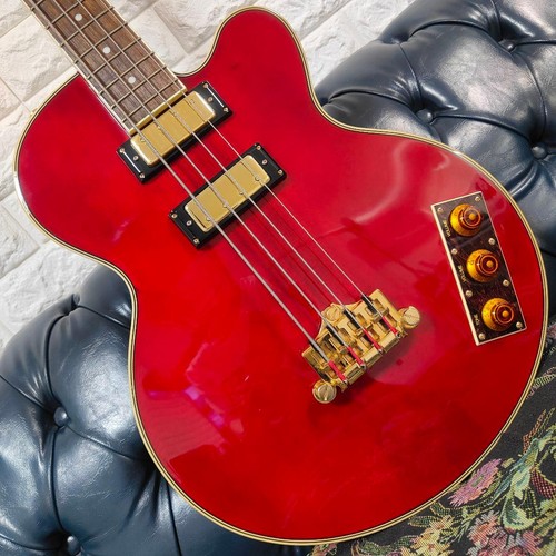 Epiphone allen woody - allen, ramblekat