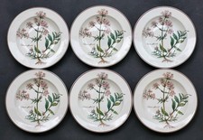 6 sublimes ASSIETTES CREUSES