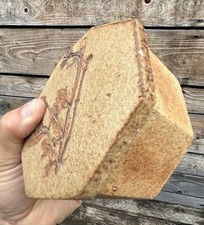 Raymonde Leduc Vallauris Boîte Coffret Herbier Céramique Capron Design