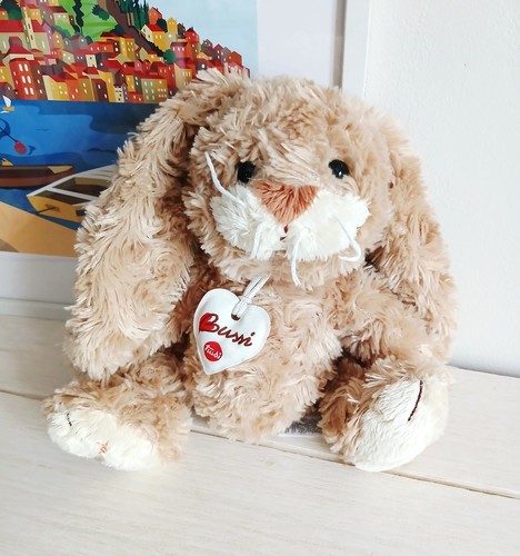 Bussi trudi peluche lapin