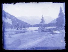 Ancienne photo plaque de verre