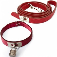 Collier et laisse pour chien