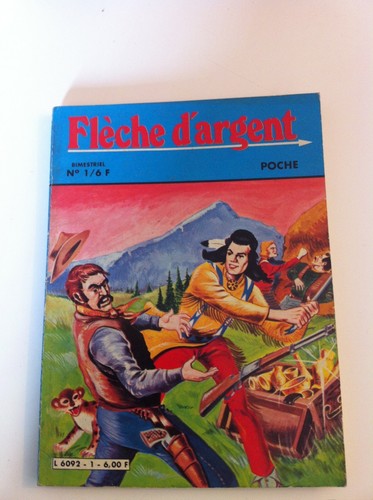 Petit format flèche - petit,