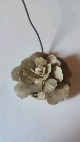 Ancienne fleur nacre - en,