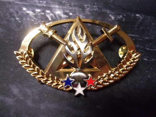 Insigne brevet expert - brevet,