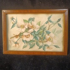 Très Belle Aquarelle Encadrée Églantines XIX ème. Signée G. Serpin?