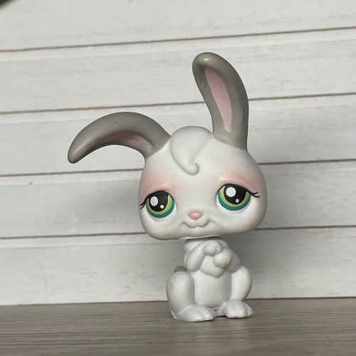 Petshop lapin garenne - 🌺petshop,