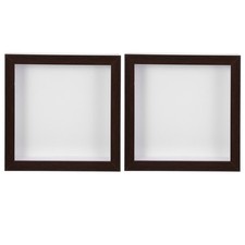 2pcs Pratique Plant Spécimen