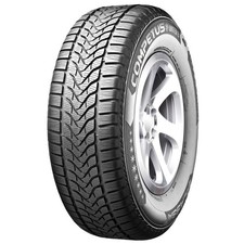 225/60 R17 99H Pneu Hiver