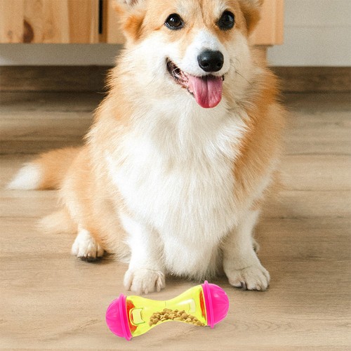 Pcs jouet pour chien - pcs,