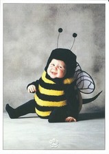 Carte postale Tom Arma BÉBÉ format cpm (bourdon)