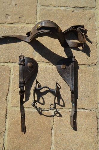 Harnais cavalerie - , us-