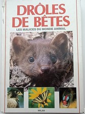 Drôles de bêtes - Les