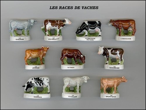 Dvo14 les races vaches - dvo14,