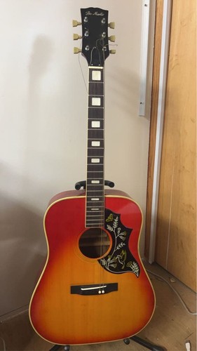 Pro martin acoustic guitar - martin,