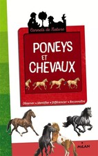 Poneys et chevaux - NE