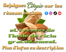 Huile d'Amande Douce Bio Vierge 250ml (~285ml)