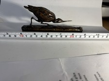 Fermiet  Courlis À L Affût D une    Grenouille.6