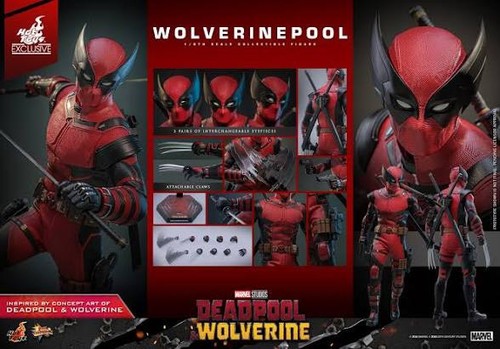 Hot toys wolverine pool - hot,