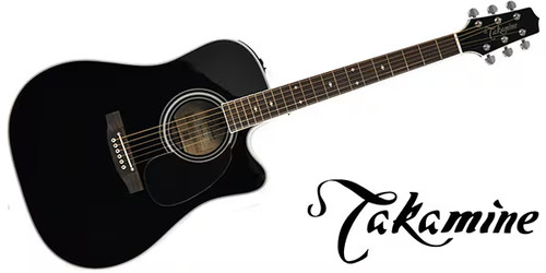 Takamine world standard - world,