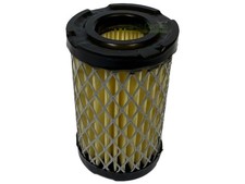 Filtre à air pour Tecumseh