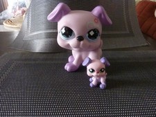 petshop chien boxer bouledogue