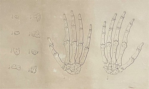 Main gravure 1759 - , d'après