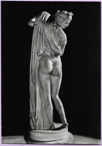 Cpsm naples musée archéo - cpsm,,