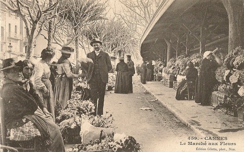 Carte postale cannes - carte,