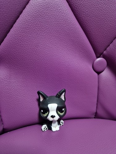 Authentic littlest petshop - authentic,