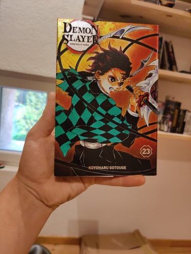 Manga demon slayer tome - slayer,