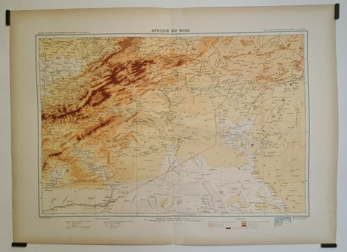Bergelin afrique du - afrique, nord